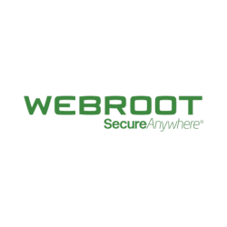 Webroot | SecureAnywhere | Antivirus | 1 year(s) | License quantity 3 user(s) | 11100310