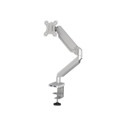 Fellowes arm for 1 monitor -  Platinum silver | Fellowes | 8056401