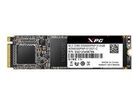 ADATA XPG SX6000 PRO 1TB M.2 SSD PCIE | ASX6000PNP-1TT-C