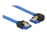 DELOCK Cable SATA 6 Gb/s 30 cm blue