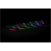 Razer Abyssus Essential Ambidextrous Gaming Mouse | RZ01-02160300-R3M1