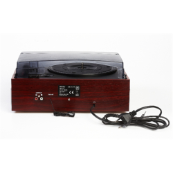 Camry Turntable with radio | CR 1113