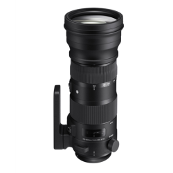 Sigma 150-600mm F5.0-6.3 DG OS HSM Canon [CONTEMPORARY] | 745954