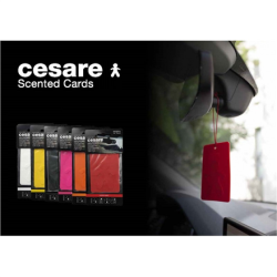 Mr&Mrs Cesare Scented card JCESTES001 Scent for Car, Fresh Air, EVA, White