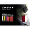 Mr&Mrs Cesare Scented card JCESTES006 Scent for Car, Peppermint, EVA, Red