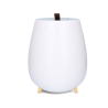 Duux Humidifier Tag Ultrasonic, 12 W, Water tank capacity 2.5 L, Suitable for rooms up to 30 m², Ultrasonic, Humidification capacity 250 ml/hr, White