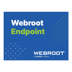 Webroot | Business Endpoint Protection with GSM Console | Antivirus Business Edition | 2 year(s) | License quantity 1-9 user(s) | 112260012A