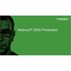 Webroot DNS Protection with GSM Console, 1 year(s), License quantity 1-9 user(s) | 152300001A