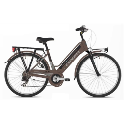 ESPERIA 220, E-Bike, Motor power 250 W, Wheel size 26 ", Warranty 24 month(s), Matt Bronze, 24 month(s) | 22E220