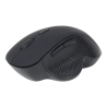 Gembird | Wireless Optical mouse | MUSW-6B-02 | Optical mouse | USB | Black