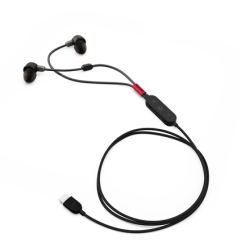 Lenovo | Go USB-C ANC In-Ear Headphones (MS Teams) | Built-in microphone | Black | USB Type-C | Wired | 4XD1C99220