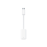 Apple | USB-C to Lightning Adapter | USB-C | Adapter
