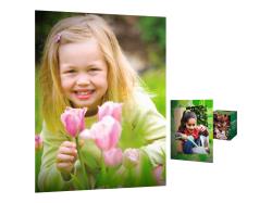 HP Everyday Photo Paper Glossy | CR757A