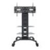 TECHLY 022618 Mobile stand for TV