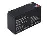 QOLTEC 53062 AGM battery 12V 7.2Ah