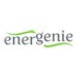 ENERGENIE 12 V Pure sine wave car DC-AC | EG-PWC-PS1000-01