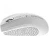 CANYON MW-7, 2.4Ghz wireless mouse, 6 buttons, DPI 800/1200/1600, with 1 AA battery ,size 110*60*37mm,58g,white