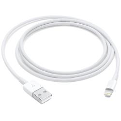 APPLE Accessories - Lightning to USB Cable 2.0m | MD819ZM/A