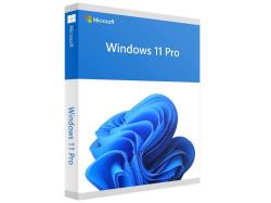 Software|MICROSOFT|Win Pro FPP 11 64-bit Eng Intl USB|Win Pro|Retail|HAV-00163