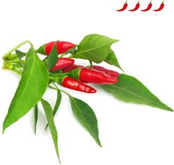 Click & Grow Smart Garden refill Piri Piri Chili Pepper 3pcs | SGR67X3