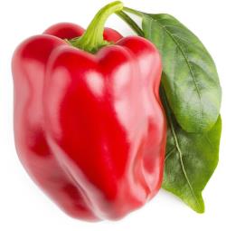 Click & Grow Smart Garden refill Red Sweet Pepper 3pcs | SGR63X3
