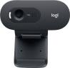 Logitech webcam C505e HD