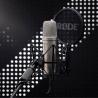 Rode microphone NT1 5th Generation, silver (NT1GEN5)