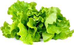 Click & Grow Smart Garden refill Lettuce 3pcs | SGR32X3