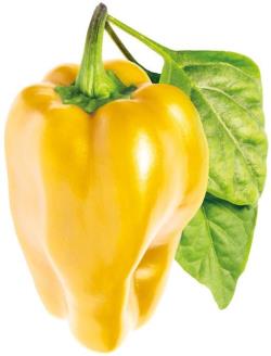 Click & Grow Smart Garden refill Yellow Sweet Pepper 3pcs | SGR53X3
