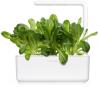 Click & Grow Smart Garden refill Romaine Lettuce 3pcs