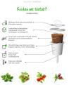 Click & Grow Smart Garden refill Thai Basil 3pcs