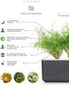 Click & Grow Smart Garden refill Dill 3pcs