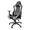 Ergonomic gaming chair, padding made of high-quality fabric, height-adjustable seat, adjustable armrests (3D), adjustable backrest angle, adjustable lumbar pillow, neck pillow, possibly to set the swing function, load capacity 120kg