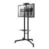 NeoMounts Mobile Flat Screen Floor Stand (height: 155-170 cm), 32-55”, c:Black